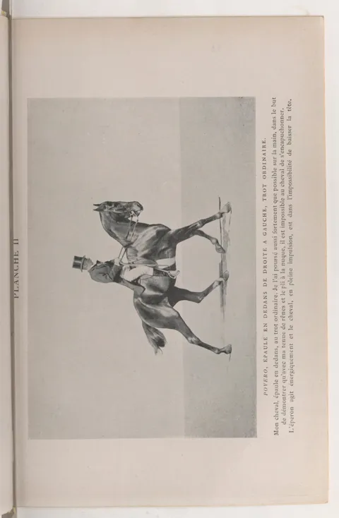 PLANCHE II POVERO, ÉPAULE EN DEDANS DE DROITE A GAUCHE, TROT ORDINAIRE. Mon cheval, épaule en dedans, au trot ordinaire. Je l'ai poussé aussi fortement que possible sur la main, dans le but de démontrer qu'avec ma tenue de rênes et le pli à la nuque, il est impossible au cheval de s'encapuchonner. L