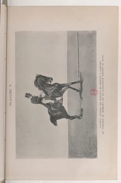 PLANCHE V POVERO, ÉPAULE EN DEDANS DE DROITE A GAUCHE, AU PASSAGE AU MOMENT OU LA DIAGONALE DROITE SE LÈVE.