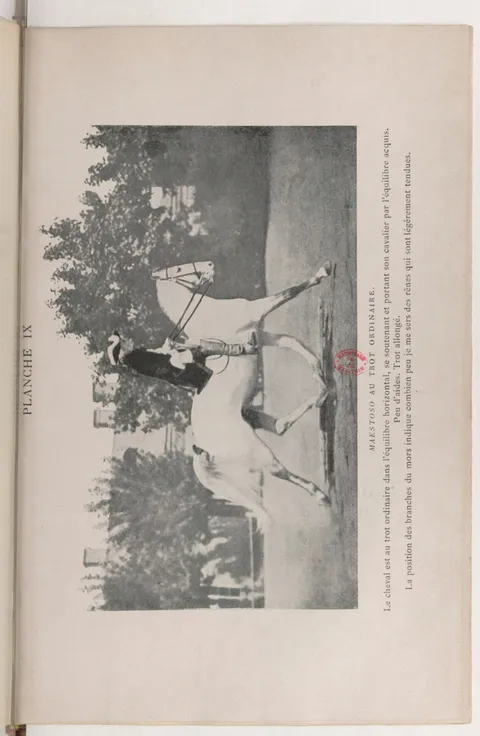 PLANCHE IX MAESTOSO AU TROT ORDINAIRE. Le cheval est au trot ordinaire dans l'équilibre horizontal, se soutenant et portant son cavalier par l'équilibre acquis. Peu d'aides. Trot allongé. La position des branches du mors indique combien peu je me sers des rênes qui sont légèrement tendues.