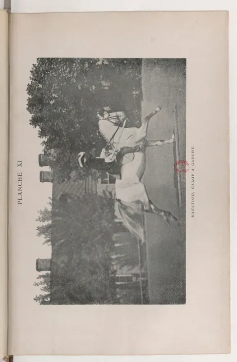 PLANCHE XI MAESTOSO, GALOP A GAUCHE.