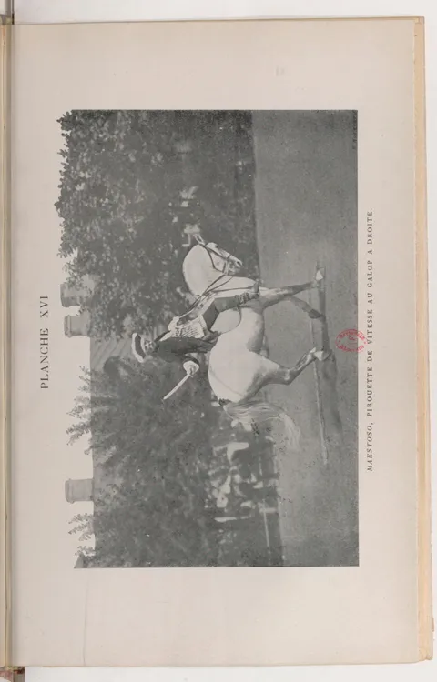PLANCHE XVI MAESTOSO, PIROUETTE DE VITESSE AU GALOP A DROITE.