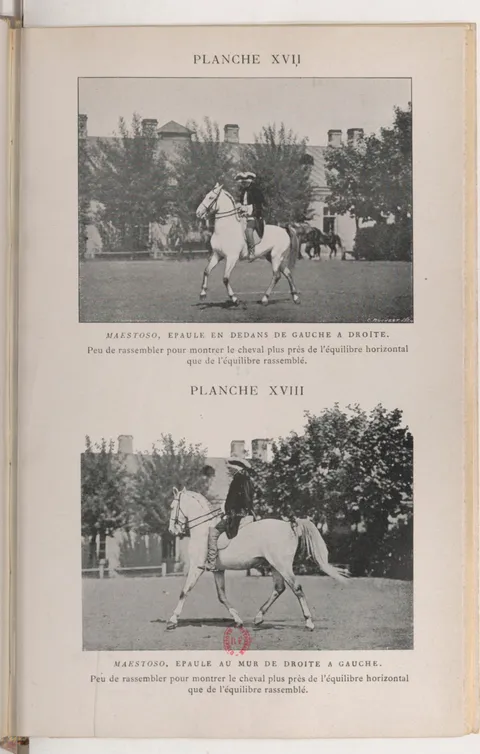 PLANCHE XVII MAESTOSO, EPAULE EN DEDANS DE GAUCHE A DROITE. Peu de rassembler pour montrer le cheval plus près de l'équilibre horizontal que de l'équilibre rassemblé. PLANCHE XVIII MAESTOSO, EPAULE AU MUR DE DROITE A GAUCHE. Peu de rassembler pour montrer le cheval plus près de l'équilibre horizonta