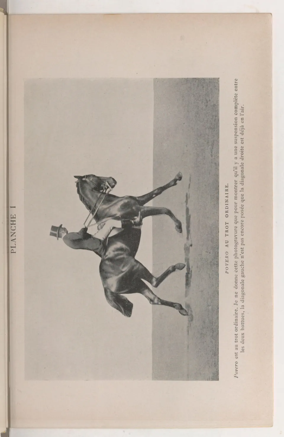 Journal de dressage (1903), скан 147 из 510