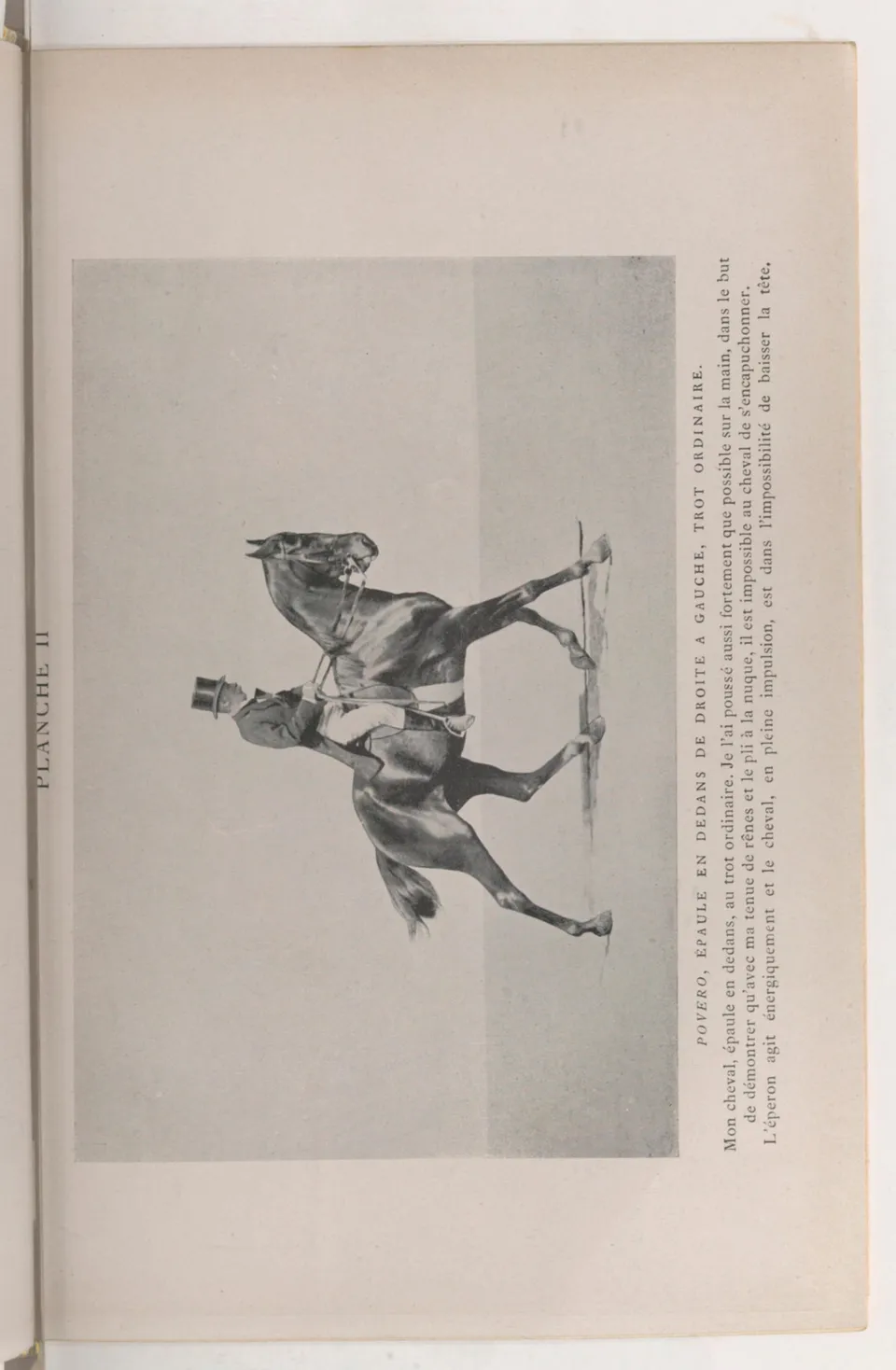 Journal de dressage (1903), скан 149 из 510