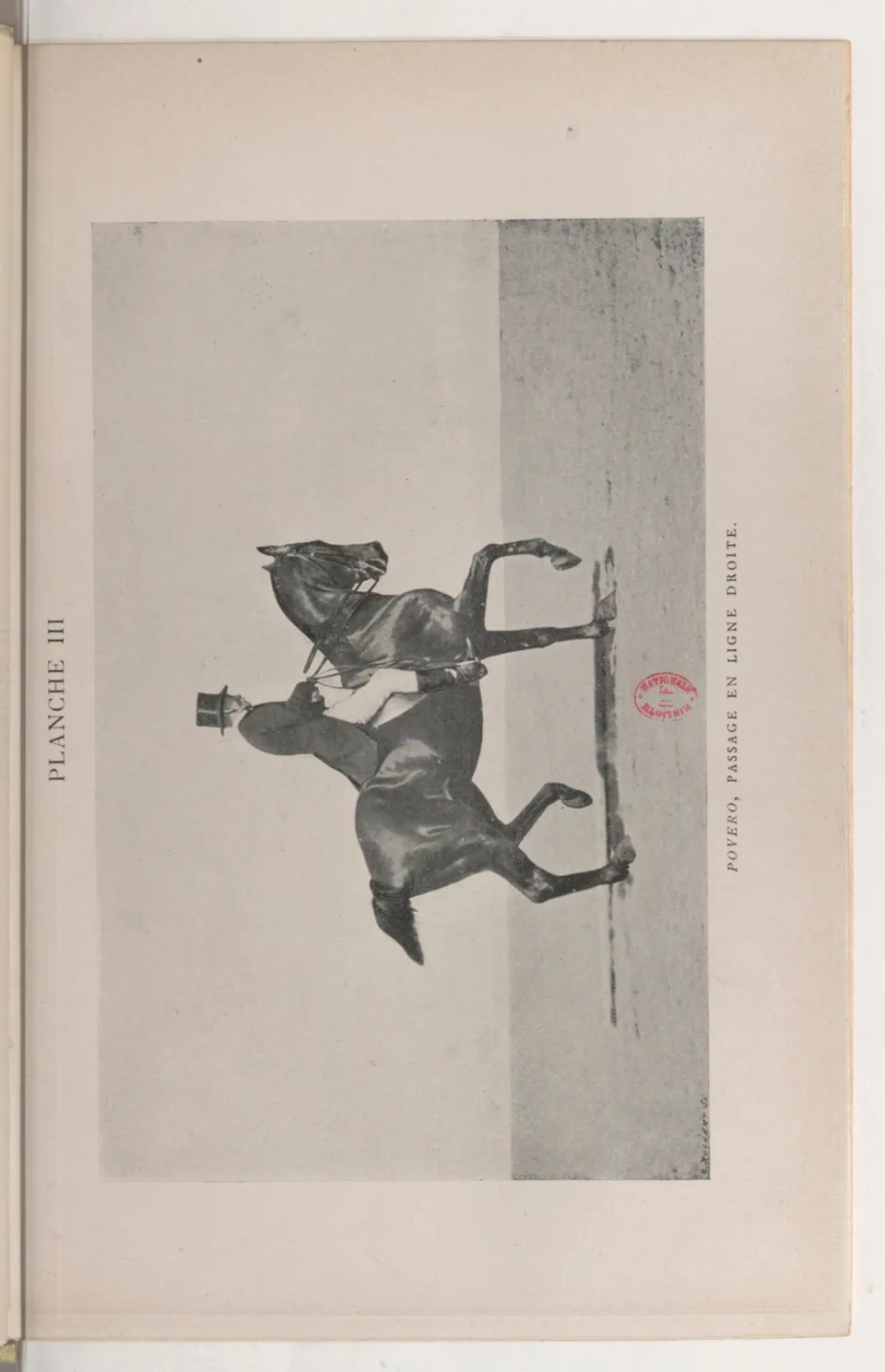 Journal de dressage (1903), скан 241 из 510