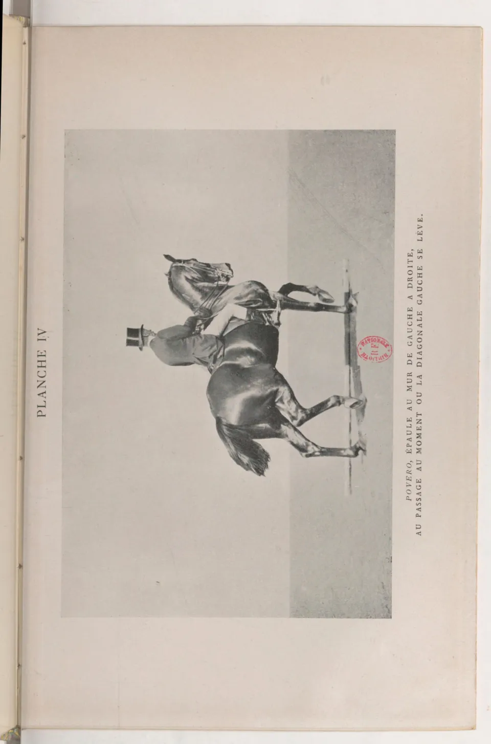 Journal de dressage (1903), скан 319 из 510