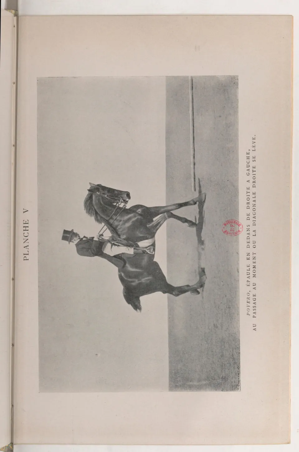 Journal de dressage (1903), скан 321 из 510