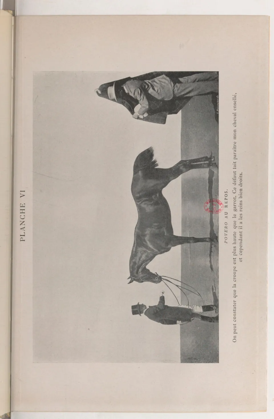 Journal de dressage (1903), скан 331 из 510
