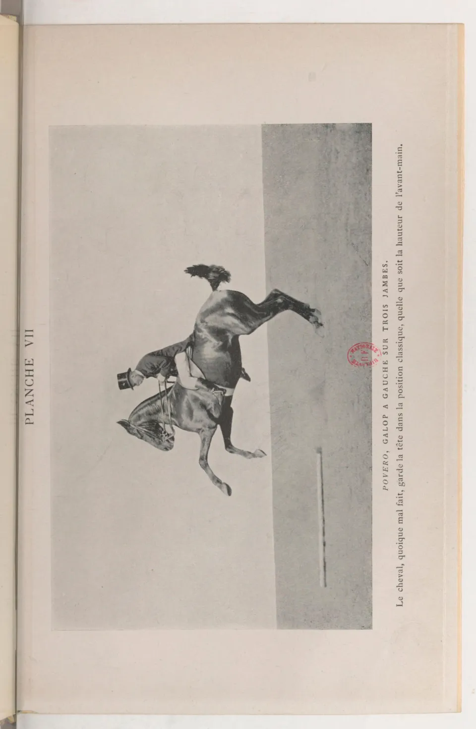 Journal de dressage (1903), скан 339 из 510