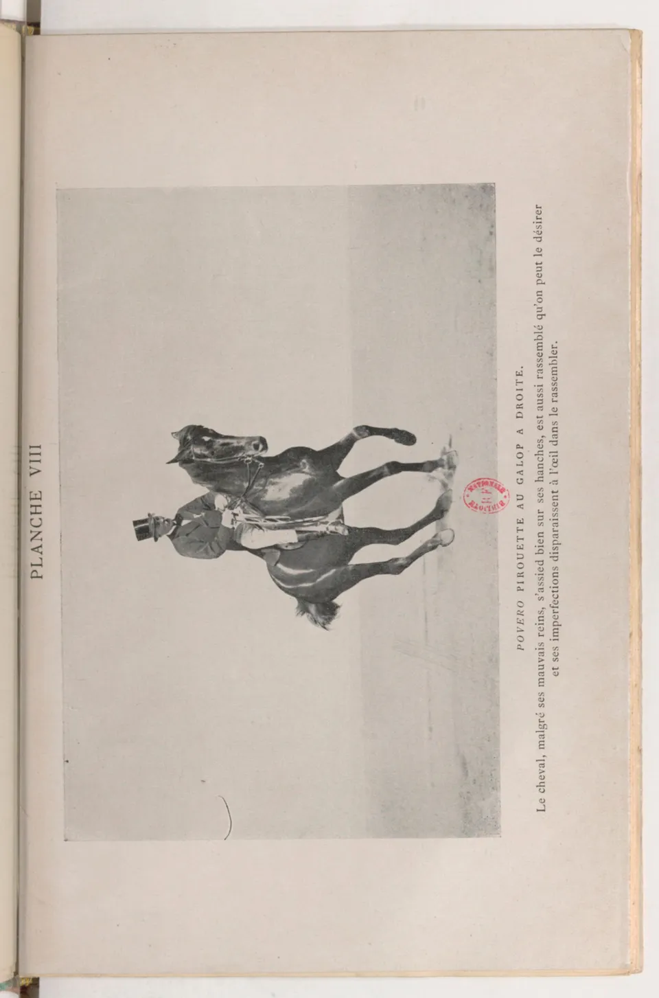 Journal de dressage (1903), скан 373 из 510