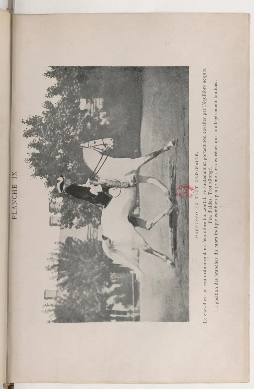 Journal de dressage (1903), скан 409 из 510