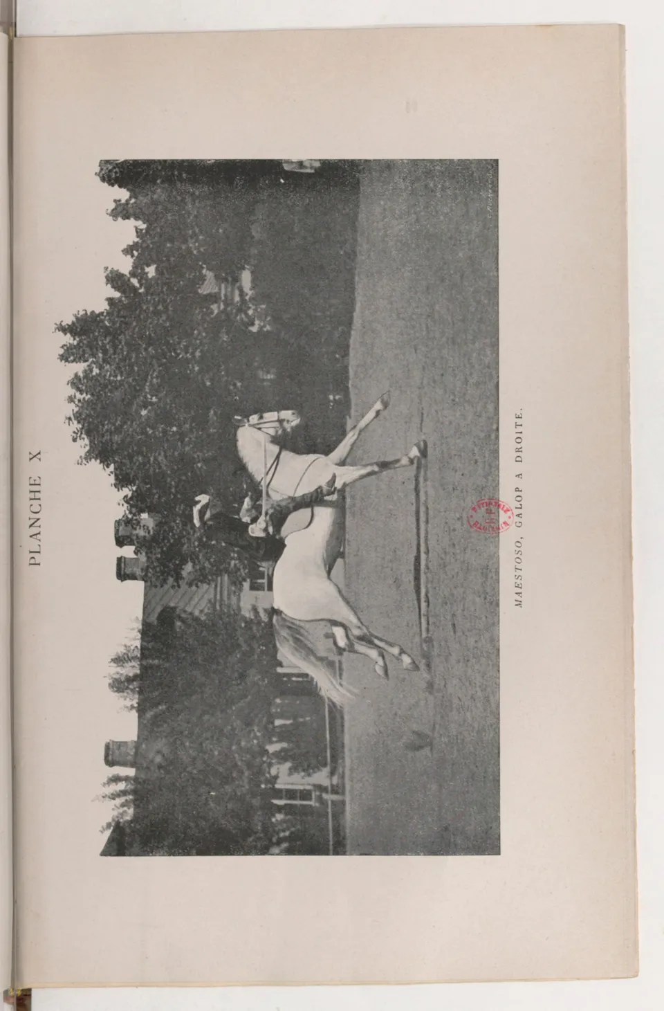 Journal de dressage (1903), скан 411 из 510