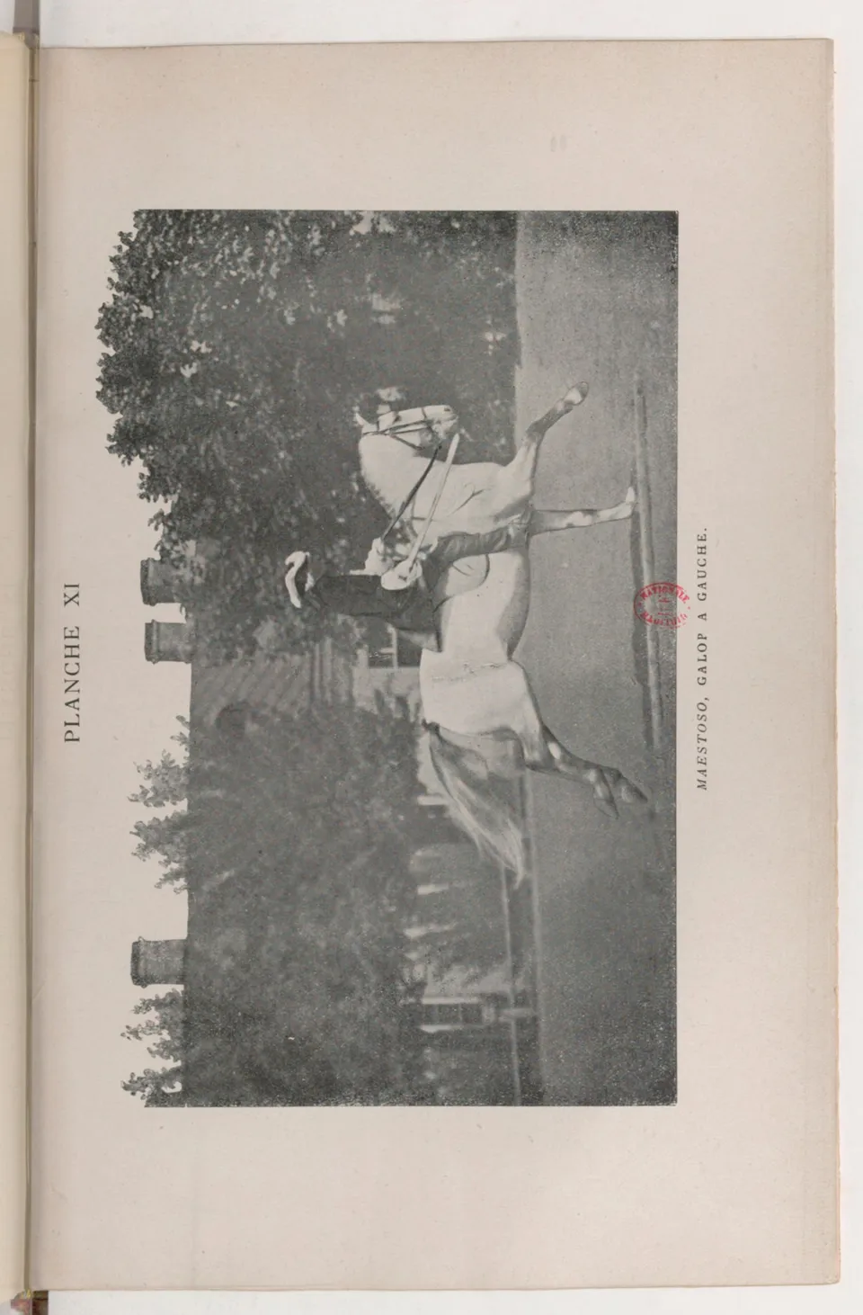 Journal de dressage (1903), скан 415 из 510