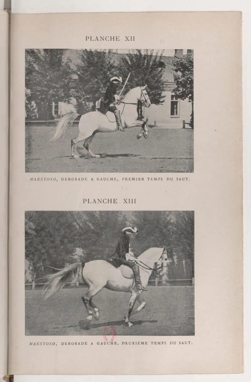 Journal de dressage (1903), скан 417 из 510