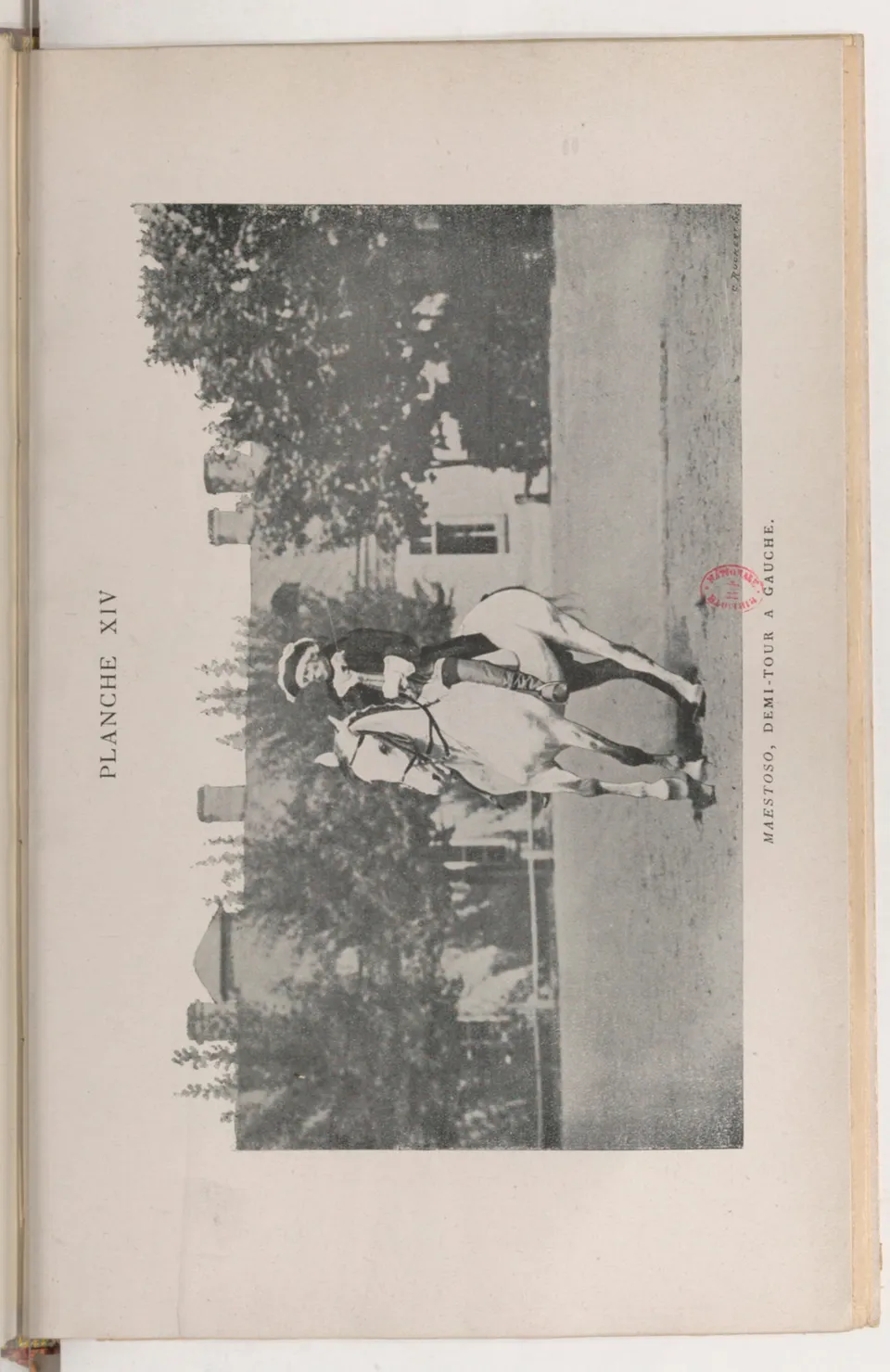 Journal de dressage (1903), скан 421 из 510