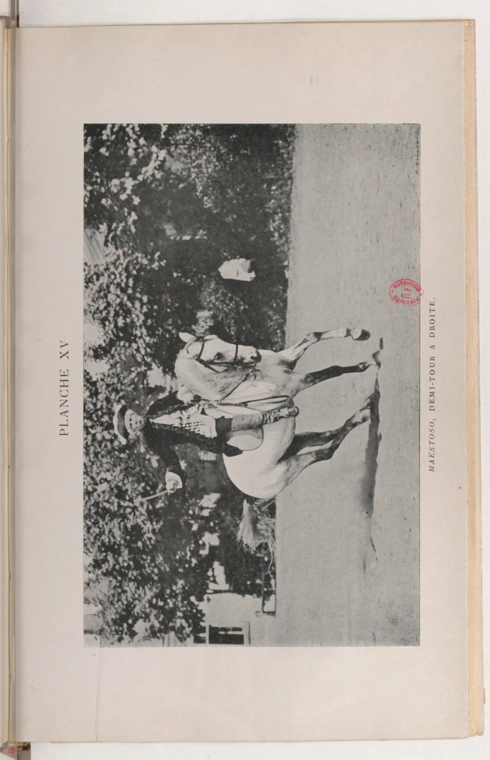 Journal de dressage (1903), скан 423 из 510