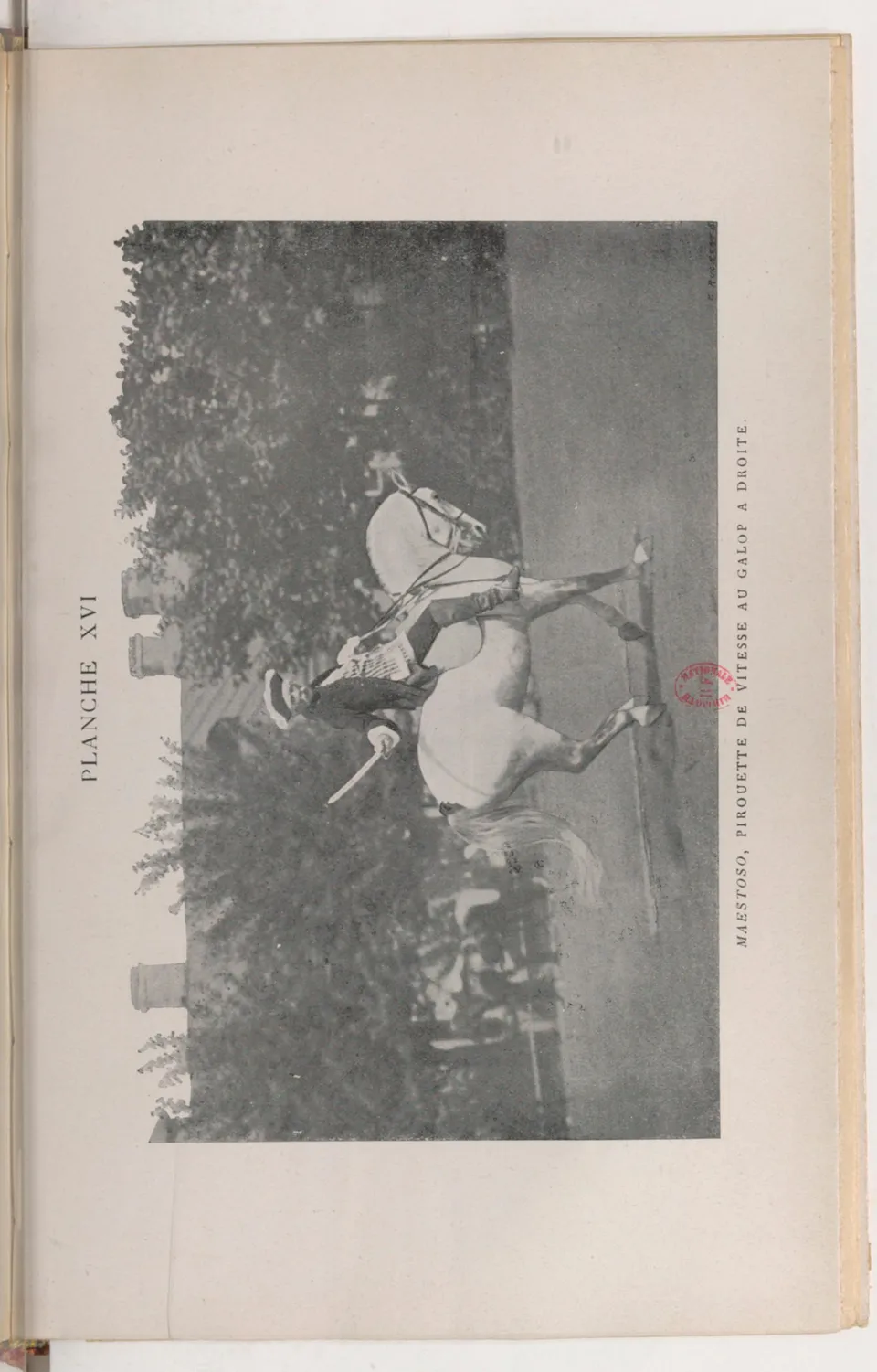 Journal de dressage (1903), скан 425 из 510
