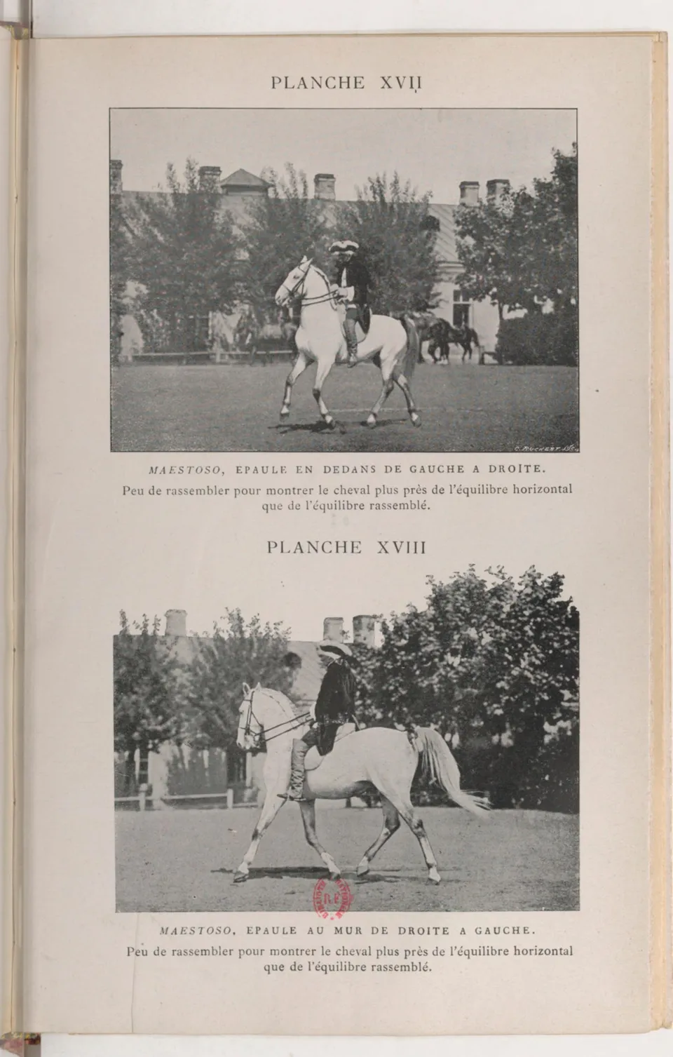 Journal de dressage (1903), скан 427 из 510