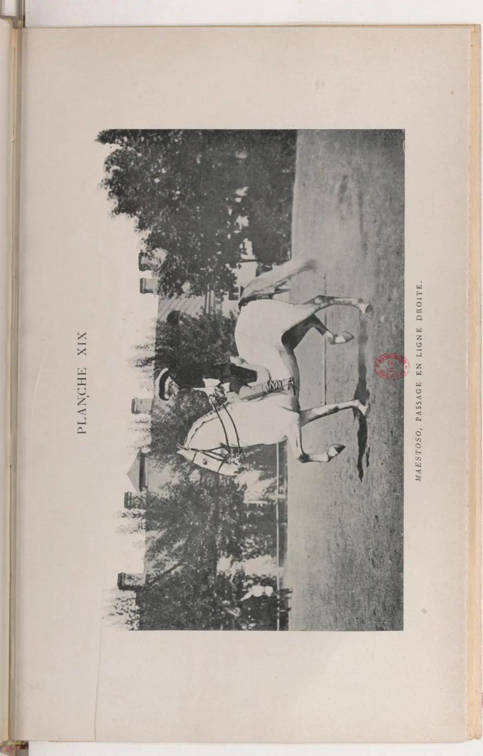 Journal de dressage (1903), скан 429 из 510