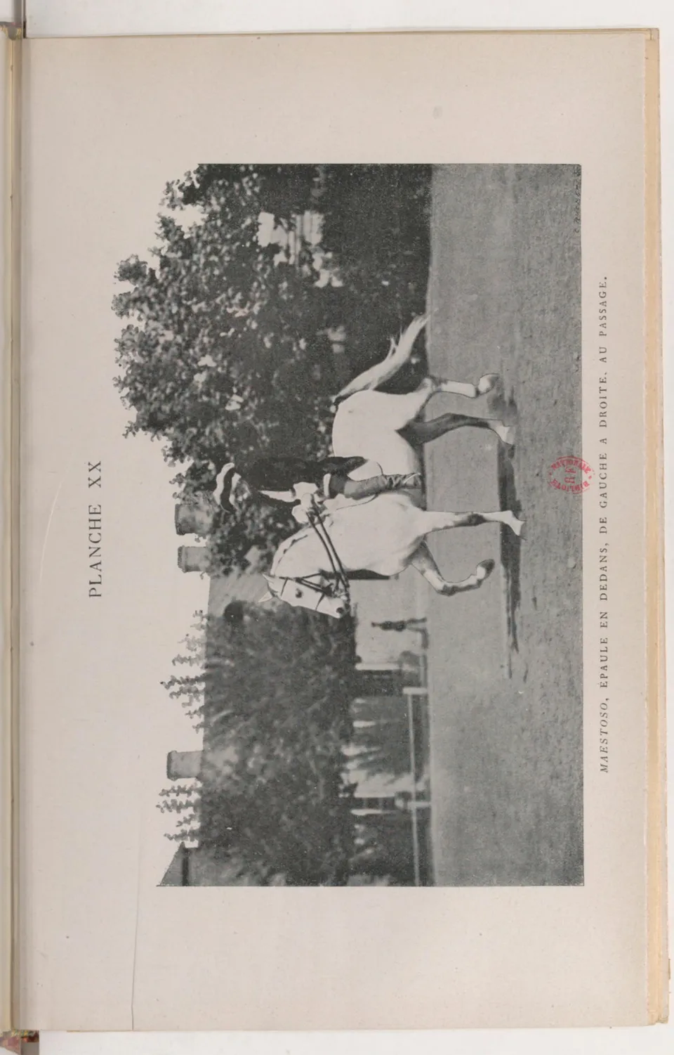Journal de dressage (1903), скан 431 из 510
