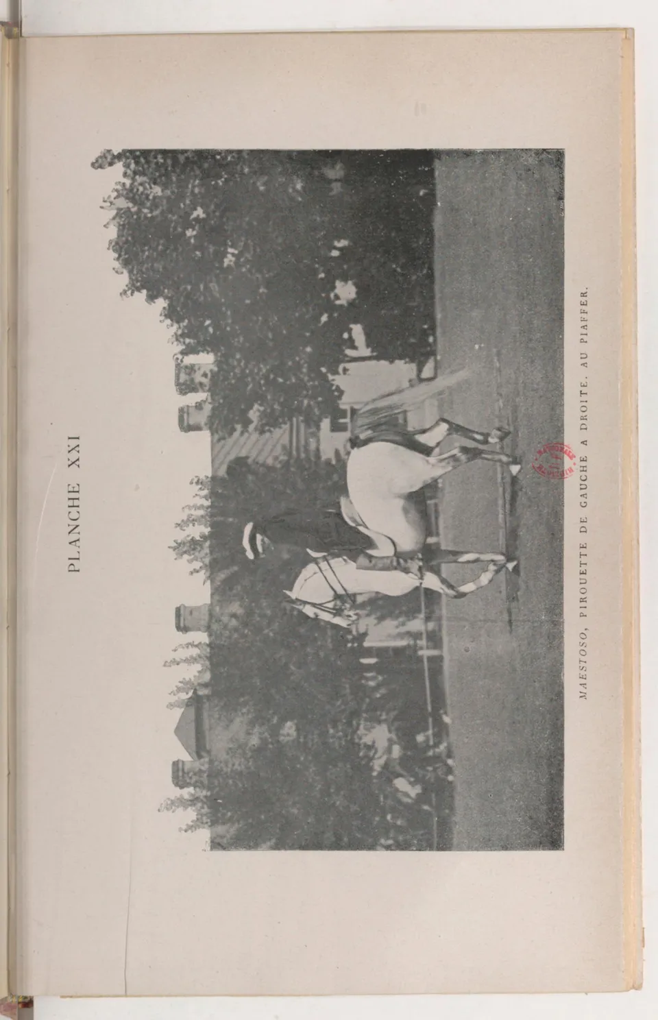 Journal de dressage (1903), скан 433 из 510
