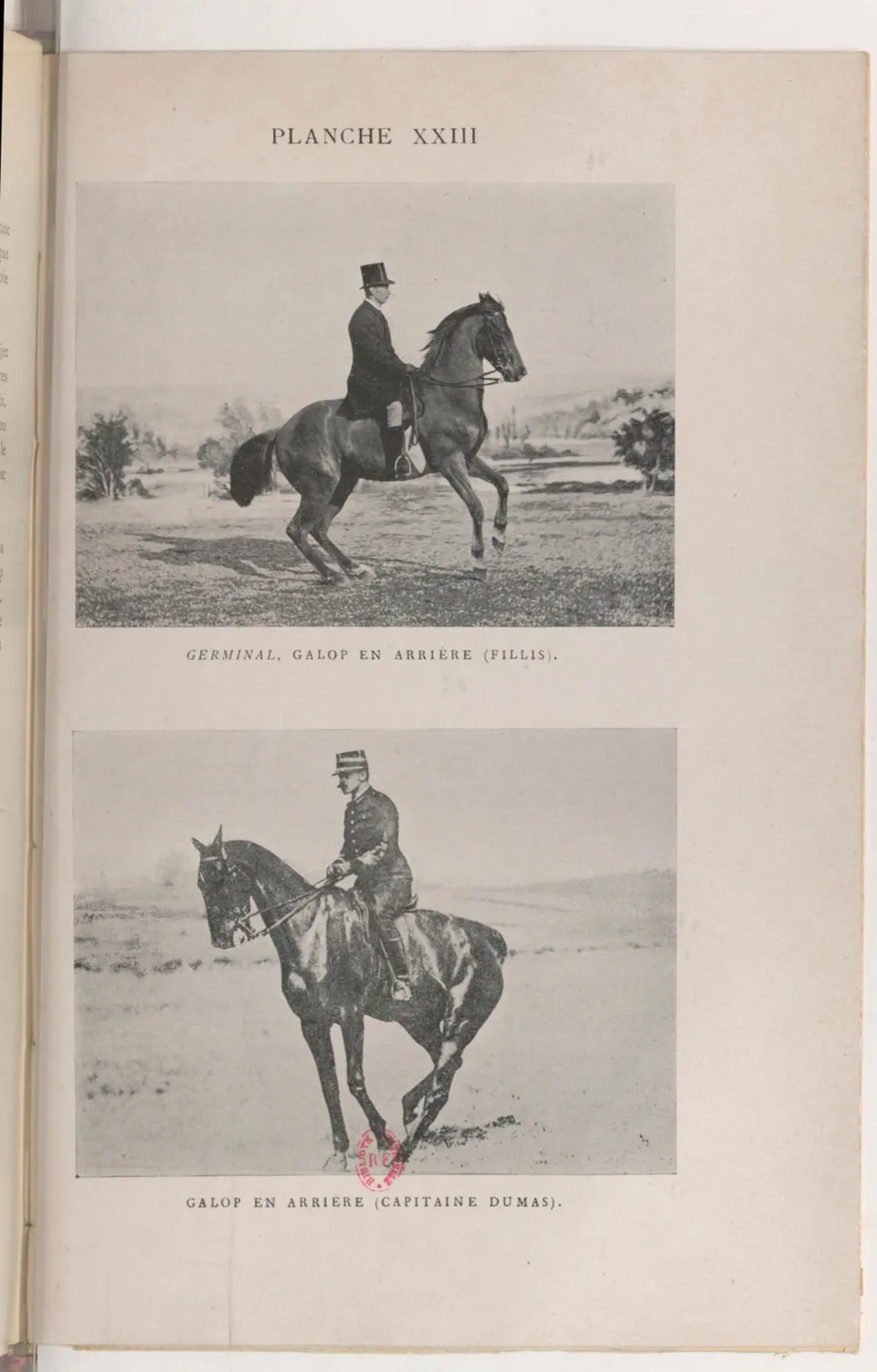 Journal de dressage (1903), скан 465 из 510