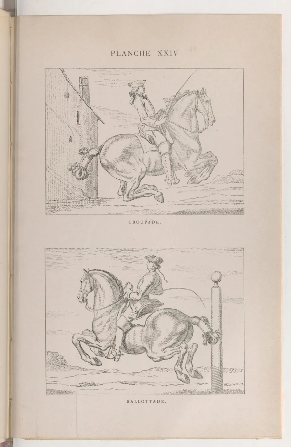 Journal de dressage (1903), скан 471 из 510
