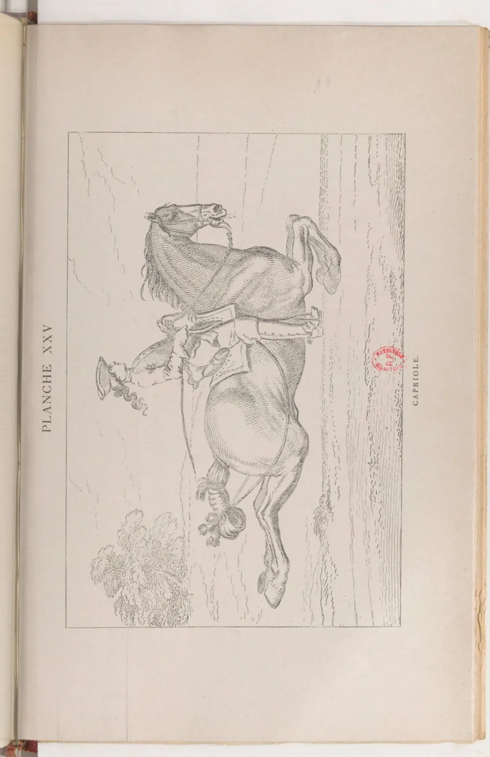 Journal de dressage (1903), скан 475 из 510