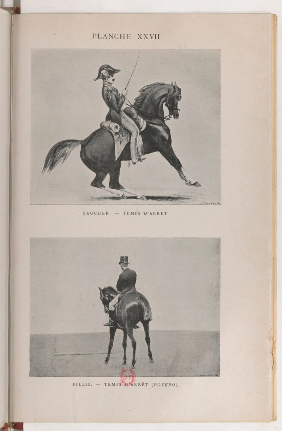 Journal de dressage (1903), скан 481 из 510