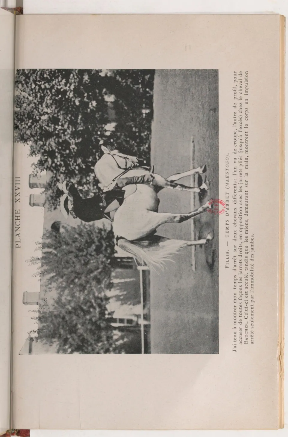 Journal de dressage (1903), скан 483 из 510