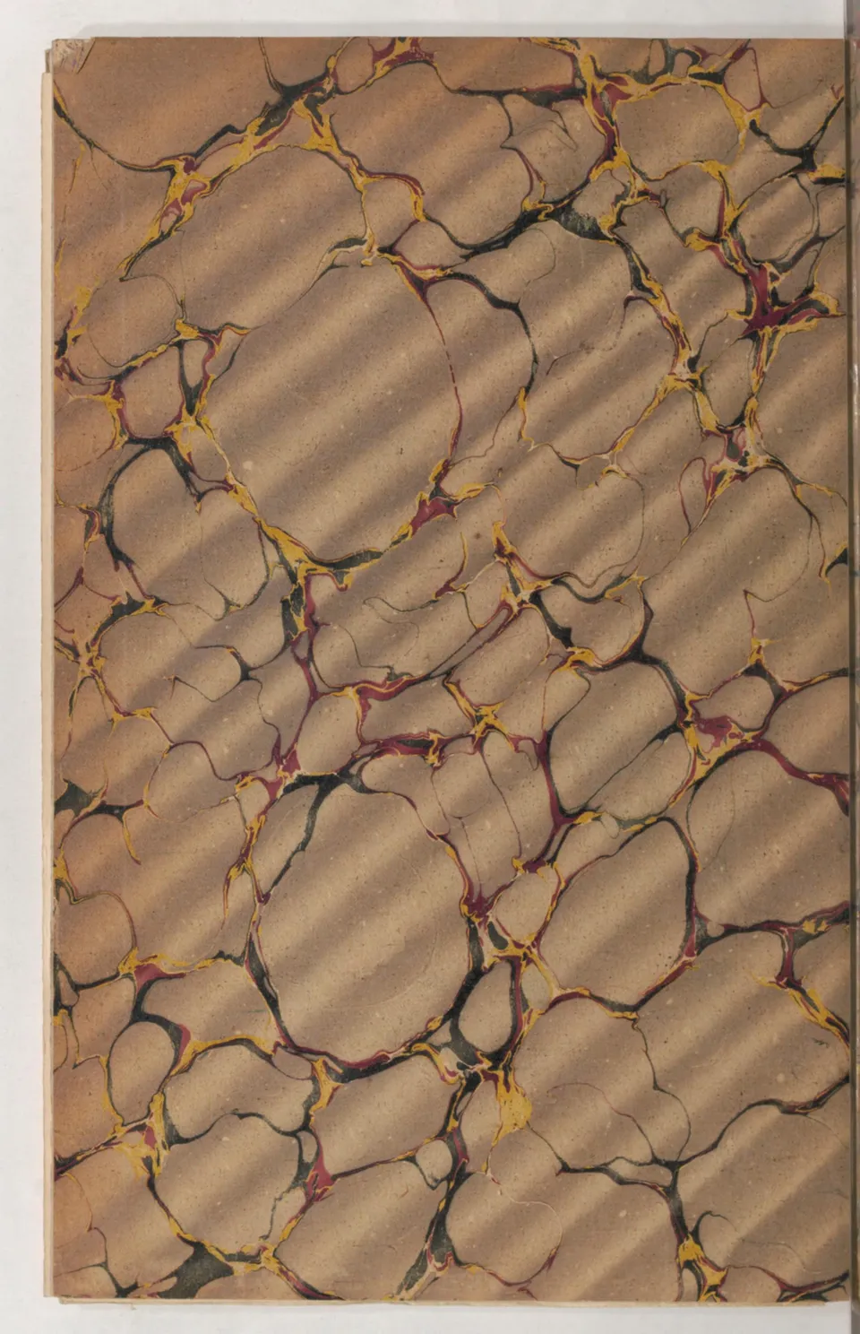 Journal de dressage (1903), скан 508 из 510