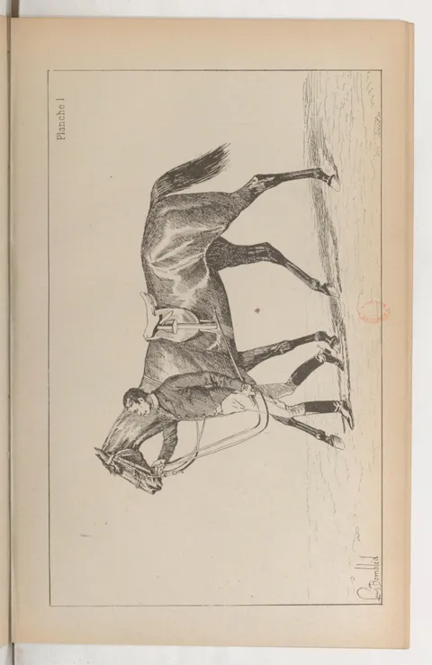 Planche I