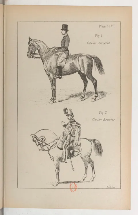 Planche VII Fig. 1. Flexion correcte Fig. 2. Flexion Baucher