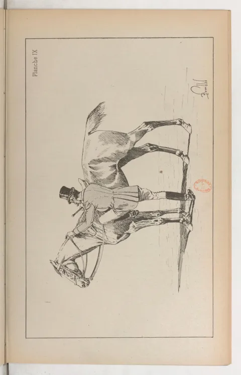 Planche IX