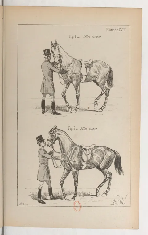 Planche XVIII Fig. 1. Effet latéral Fig. 2. Effet direct