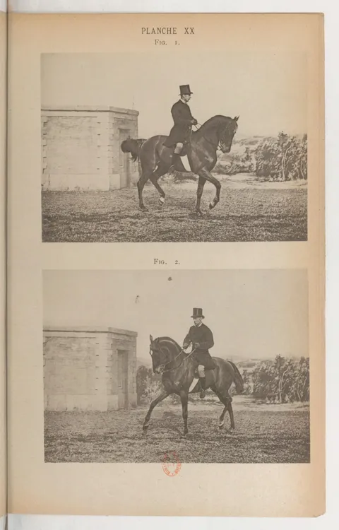 PLANCHE XX Fig. 1. Fig. 2.