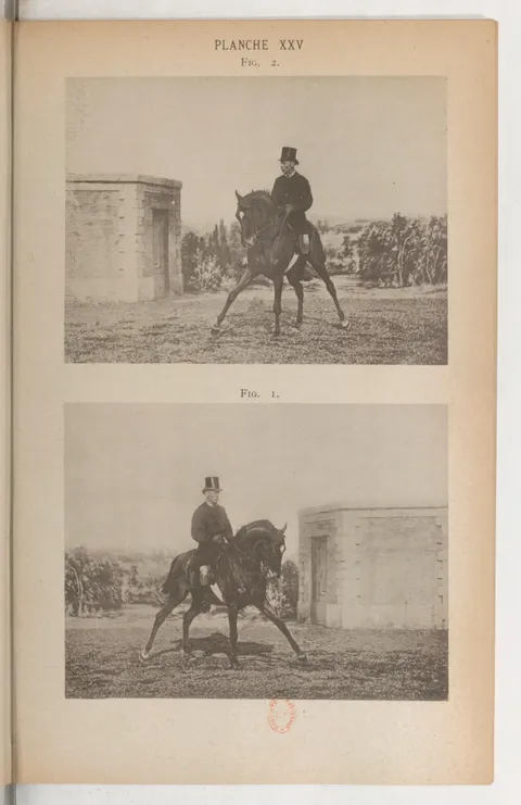 PLANCHE XXV Fig. 2. Fig. 1.