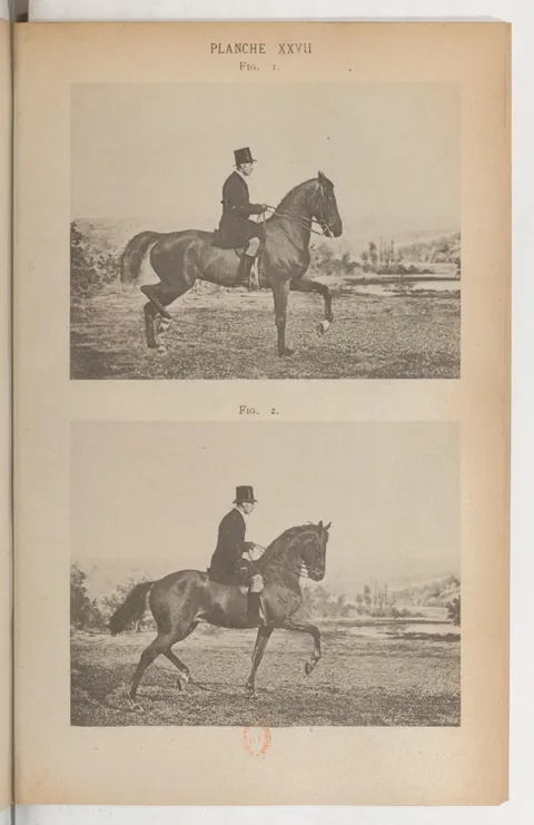 Planche XXVII Fig. 1. Fig. 2.