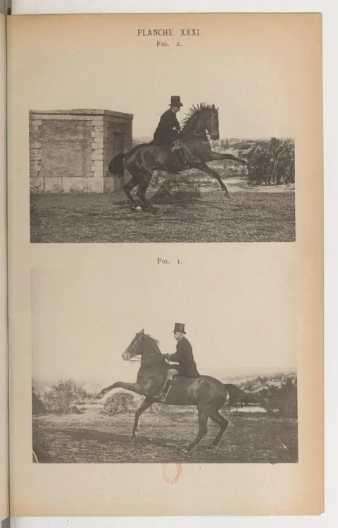 PLANCHE XXXI FIG. 2. FIG. 1.