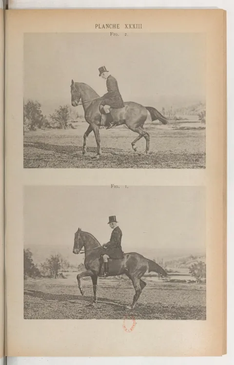PLANCHE XXXIII FIG. 2. FIG. 1.