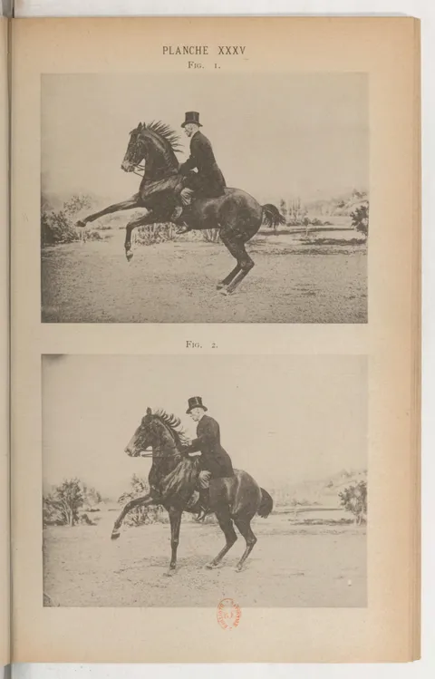 PLANCHE XXXV FIG. 1. FIG. 2.