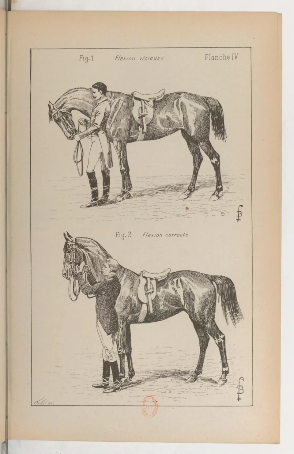 Principes de dressage et d'équitation (1892), скан 107 из 530