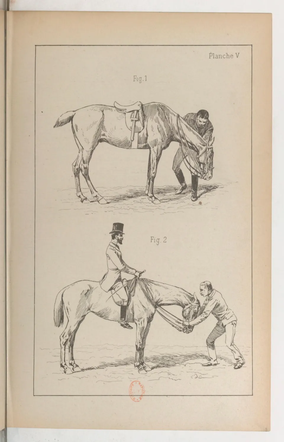 Principes de dressage et d'équitation (1892), скан 115 из 530