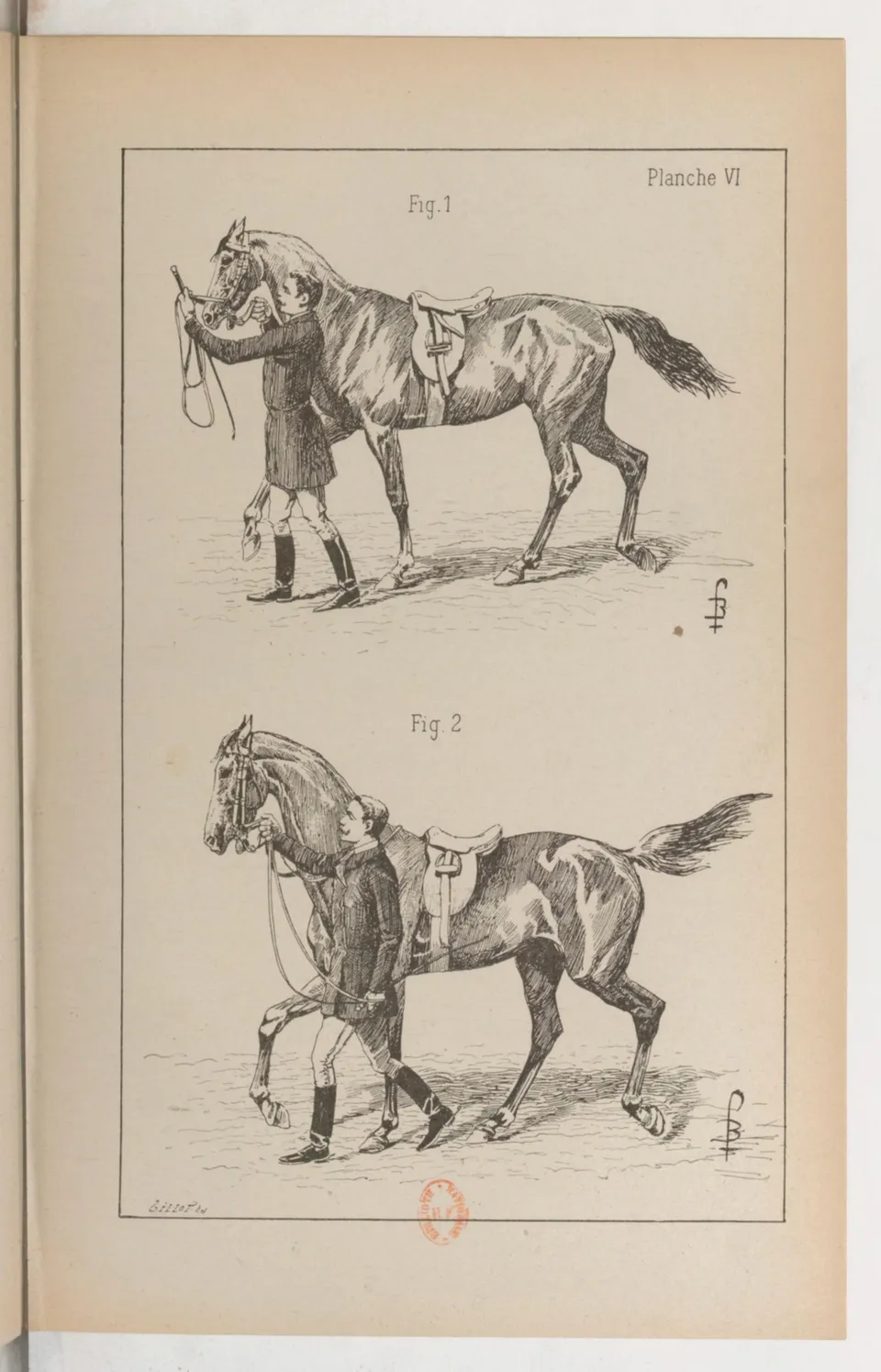 Principes de dressage et d'équitation (1892), скан 119 из 530