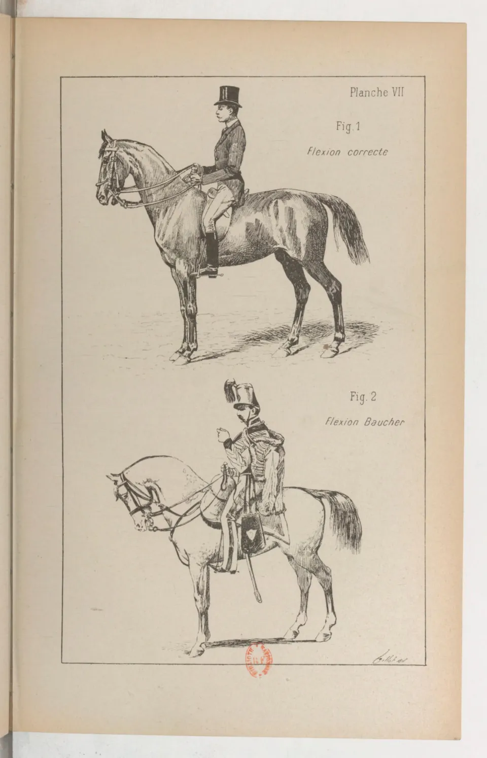 Principes de dressage et d'équitation (1892), скан 123 из 530