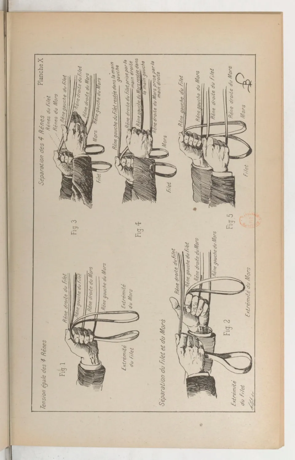 Principes de dressage et d'équitation (1892), скан 137 из 530