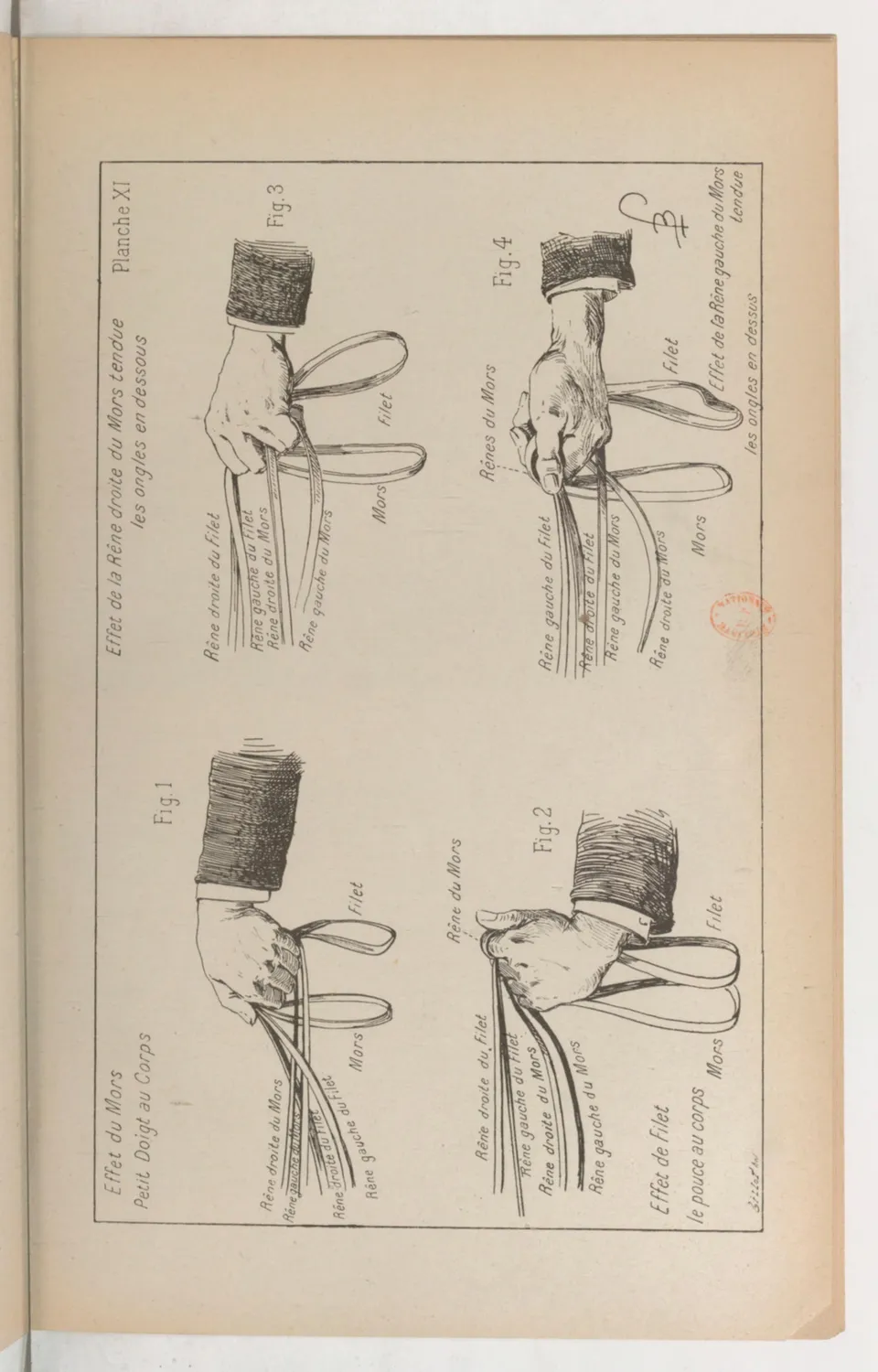 Principes de dressage et d'équitation (1892), скан 141 из 530