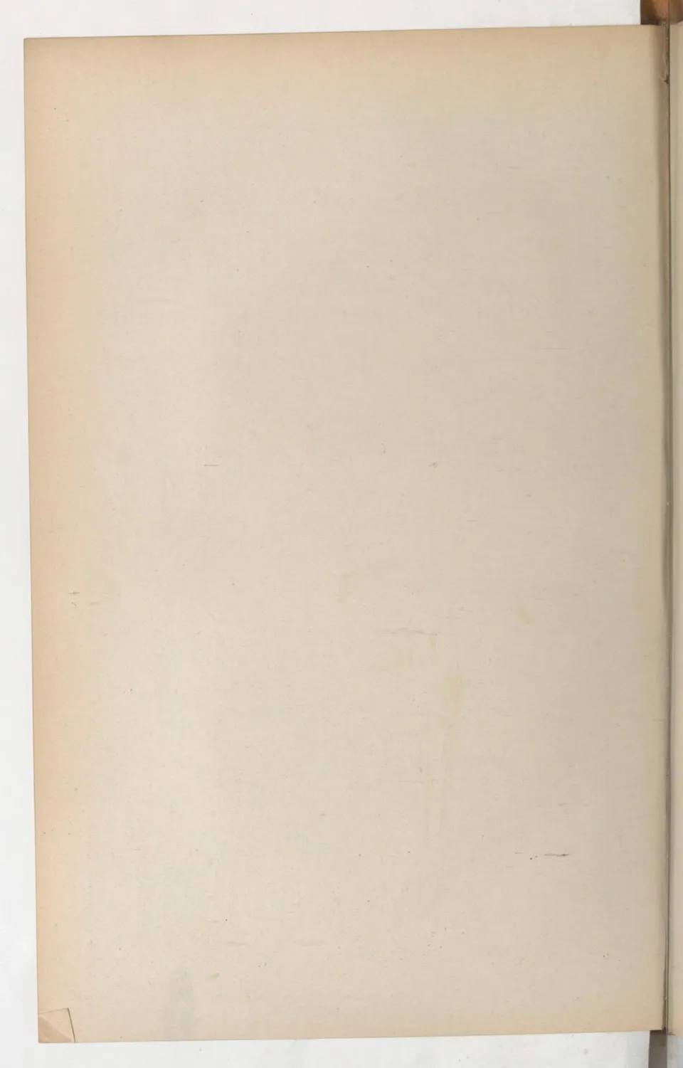 Principes de dressage et d'équitation (1892), скан 142 из 530