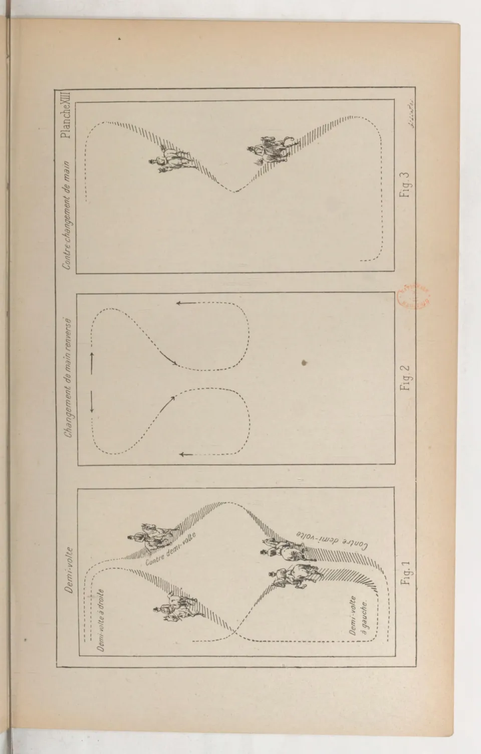 Principes de dressage et d'équitation (1892), скан 167 из 530