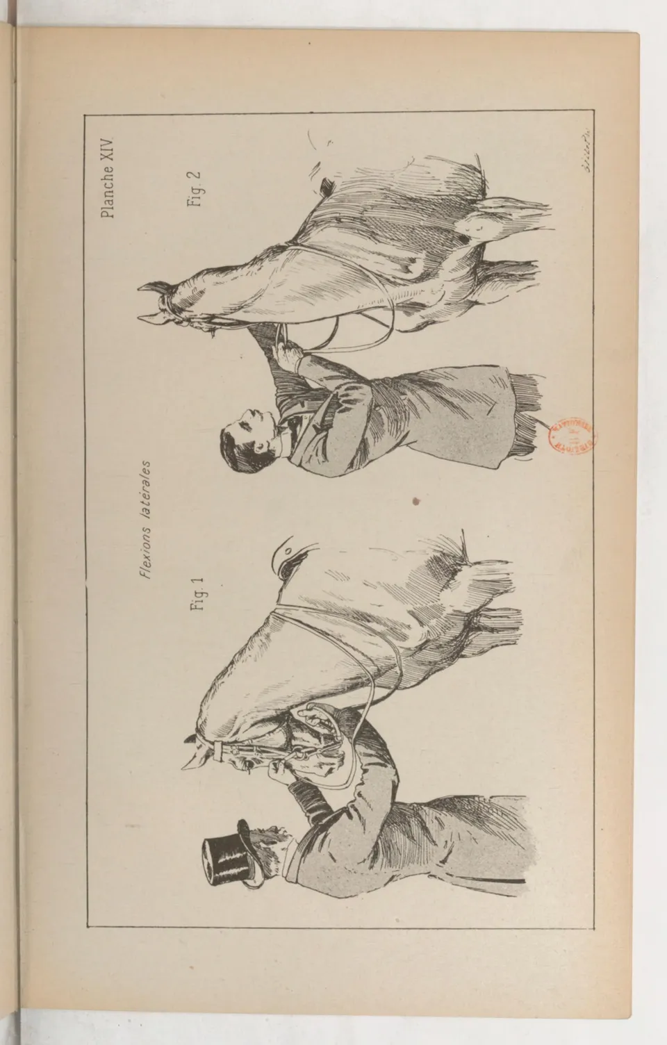 Principes de dressage et d'équitation (1892), скан 173 из 530
